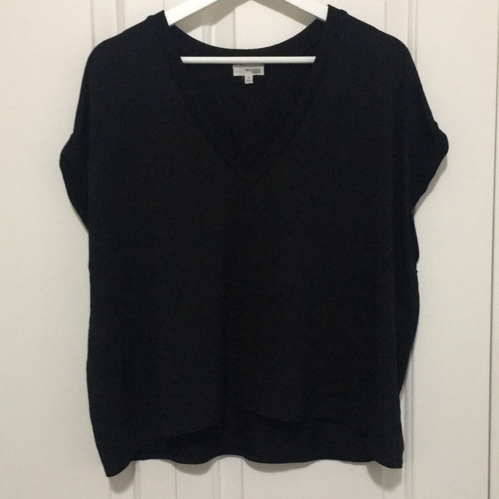 Aritzia Wilfred Free Brosh T